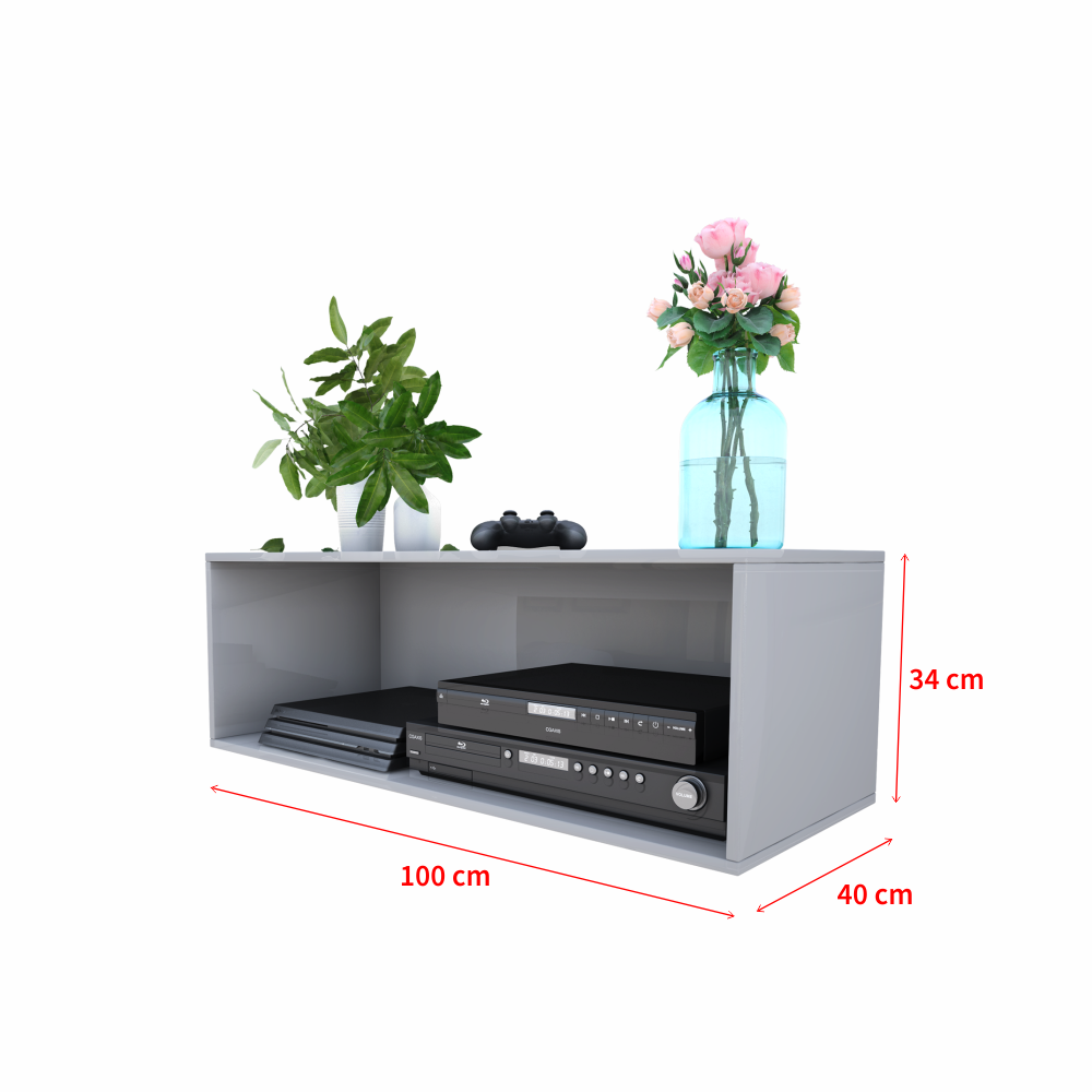 Szafka RTV Larka 100 cm Szary
