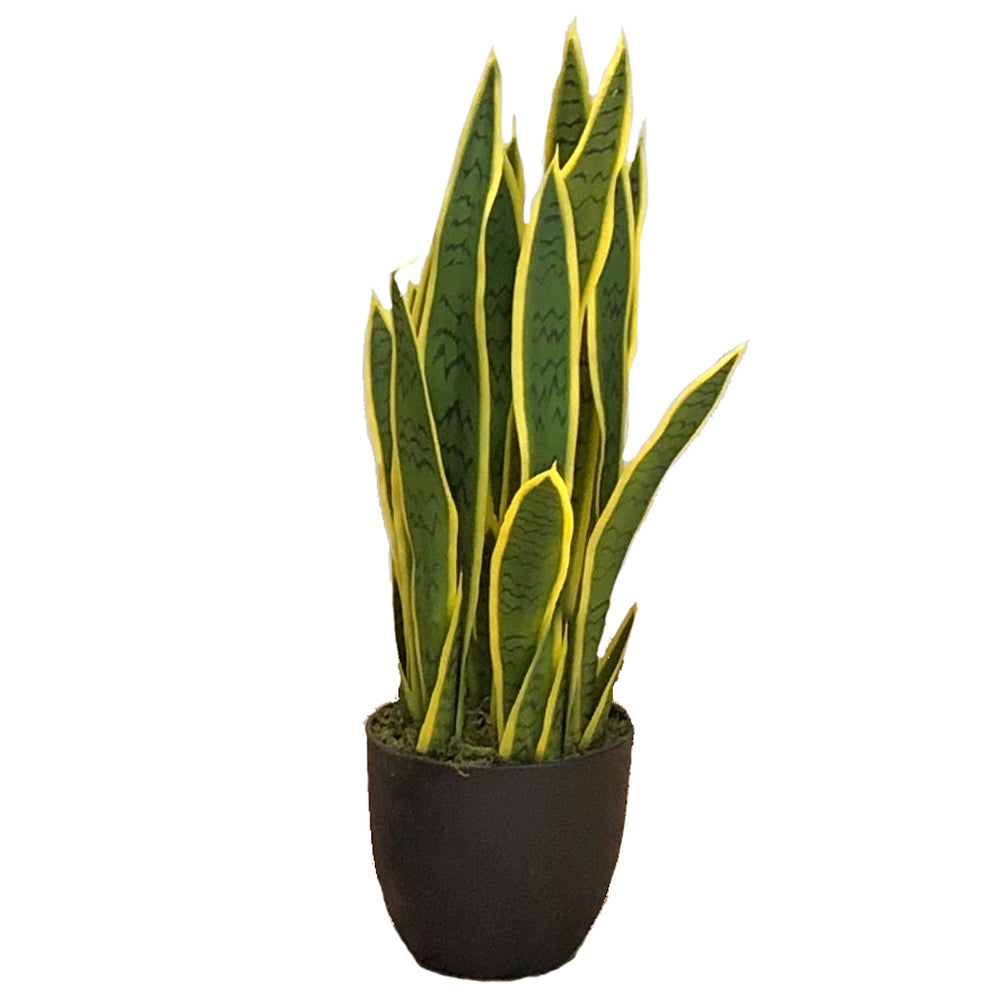 Sztuczny kwiat Ilitten Sansevieria
