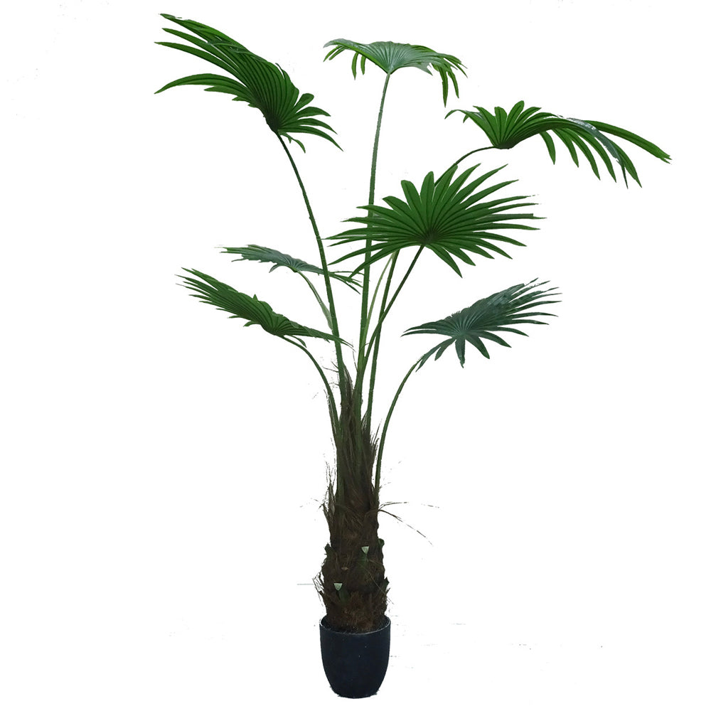 Sztuczny kwiat Ilitten Waszyngtonia robusta 180 cm