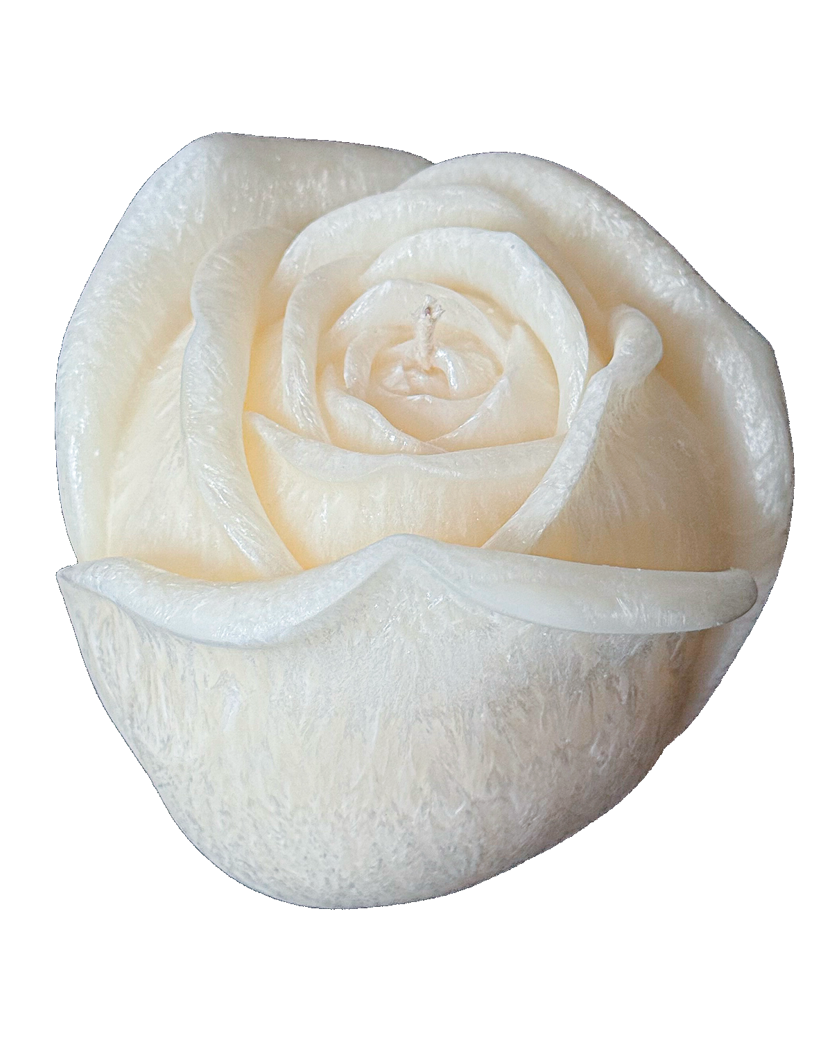 Świeca z wosku palmowego Rose 640 g