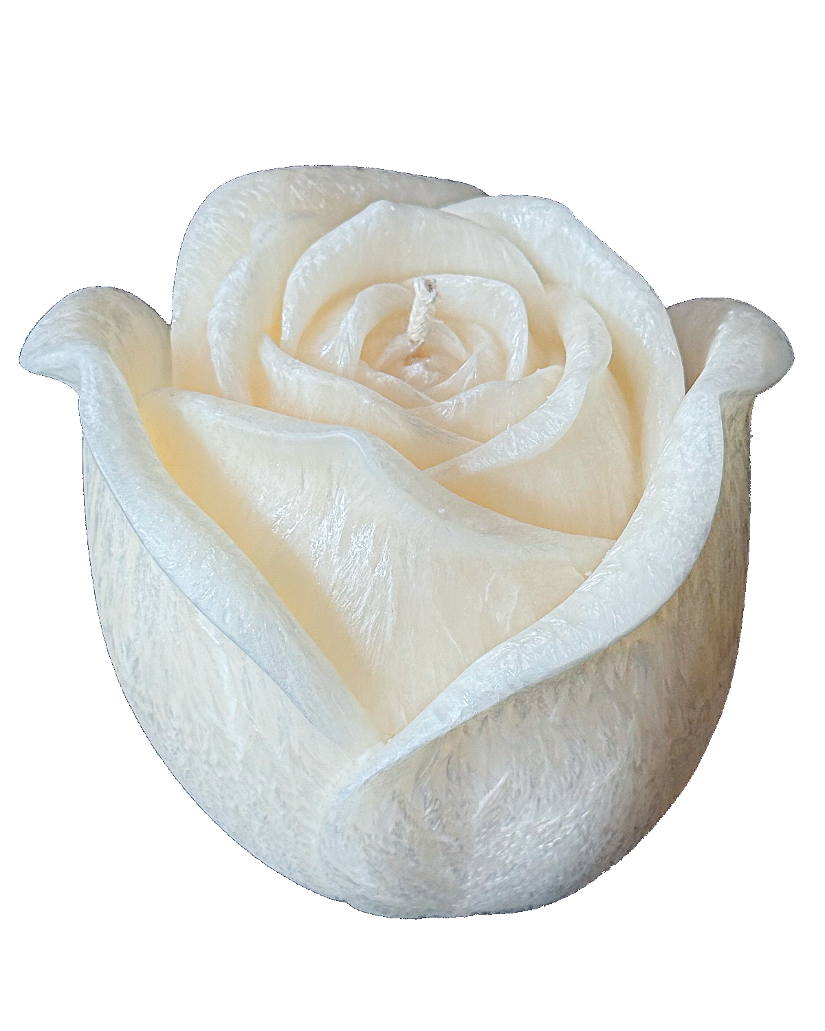 Świeca z wosku palmowego Rose 640 g