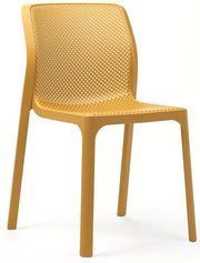 xxSENAPE19x