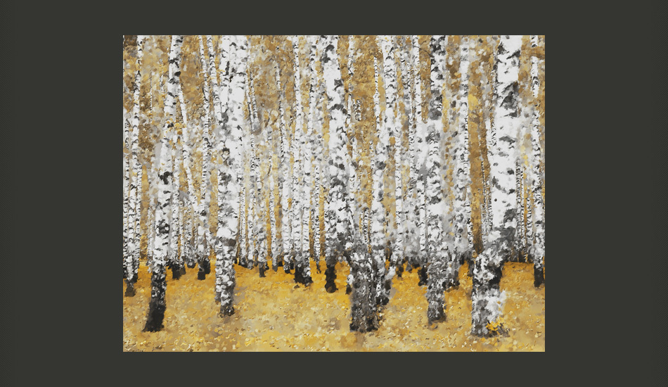 Fototapeta Jesienny brzozowy las