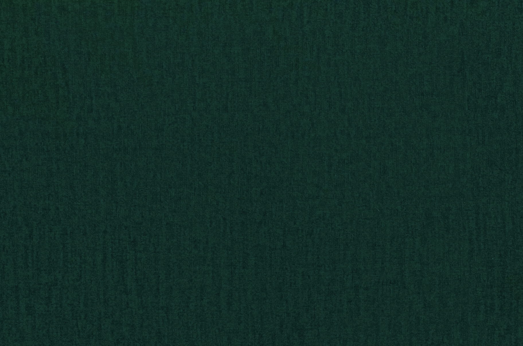 OUTLET - Narożnik z funkcją spania Asciano zielony lewostronny welur