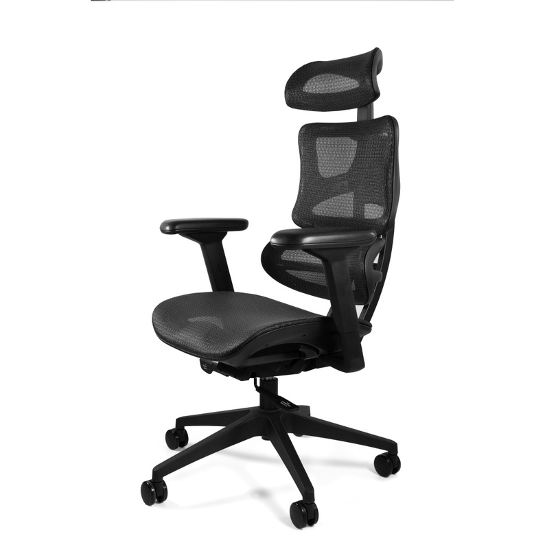 Fotel ergonomiczny Ergotech