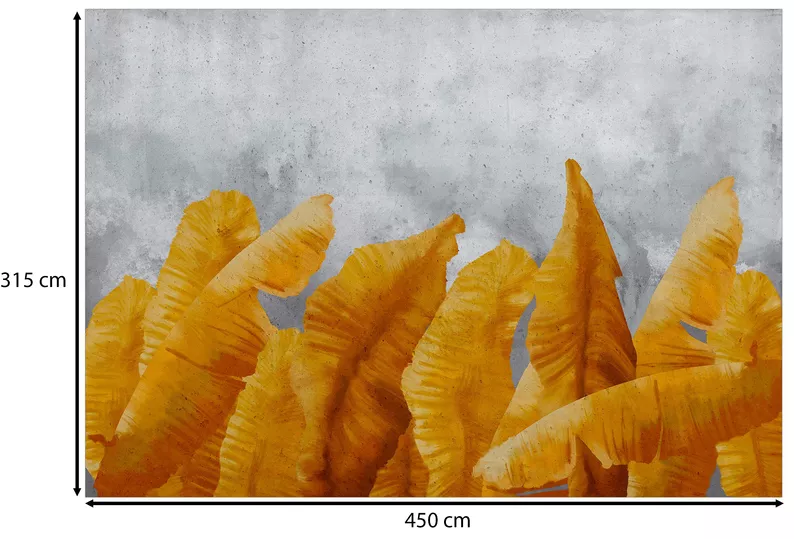 Fototapeta Bananowe liście 450x315 cm