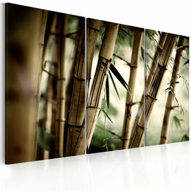 Obraz - W tropikalnym lesie 60x40 cm