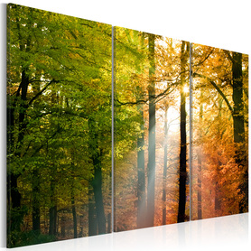 Obraz - Spokojny jesienny las  60x40 cm