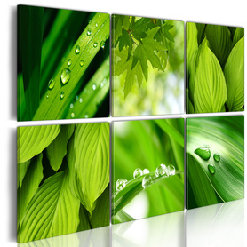 Obraz - Soczysta zieleń liści 60x40 cm