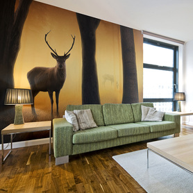 Fototapeta Deer in his natural habitat