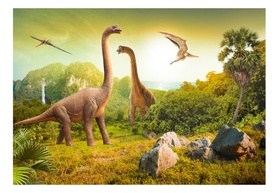 Fototapeta Dinozaury 100x70 cm